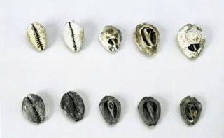 Study of Sichuan research