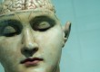 NEW BRAIN SCIENCE